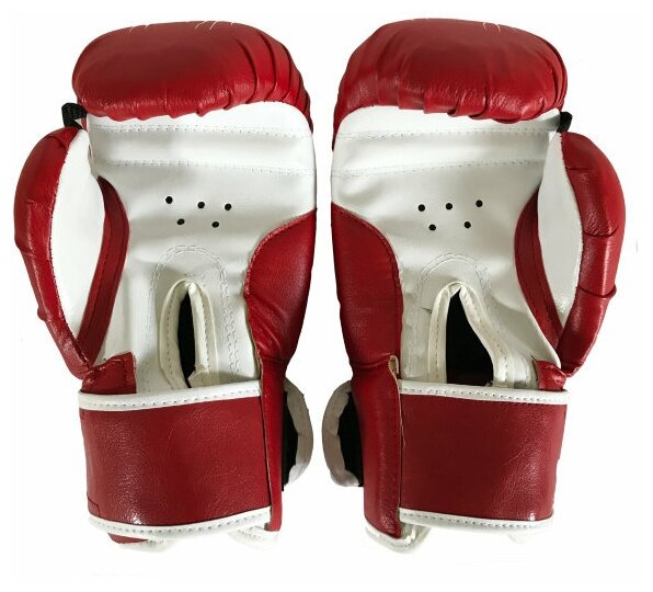 Перчатки боксерские Vagrossport Vagrosport Ring Rs910, 10 унций, красный