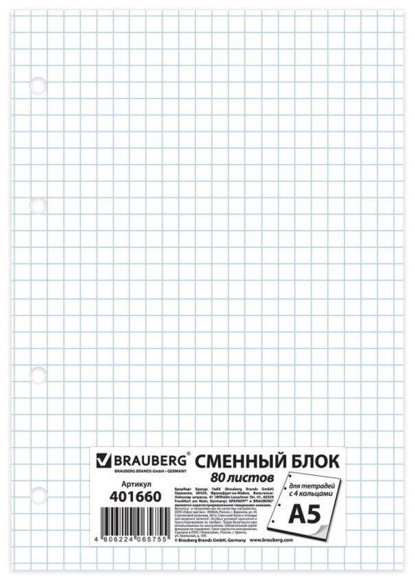 BRAUBERG Сменный блок 401660 клетка отсутствует