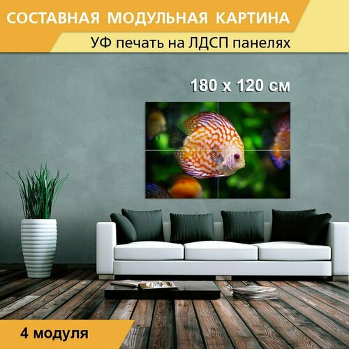 Модульная картина 