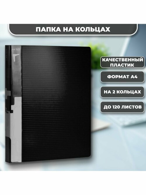 Папка на 2-х кольцах А4 25 мм черная