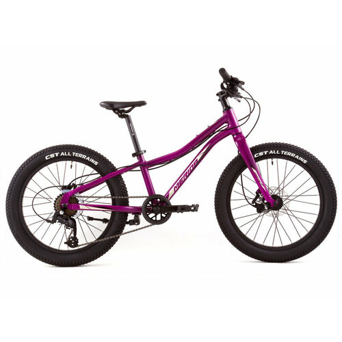 Детский велосипед Merida Matts J.20+ Pro, год 2023, цвет Фиолетовый-Черный