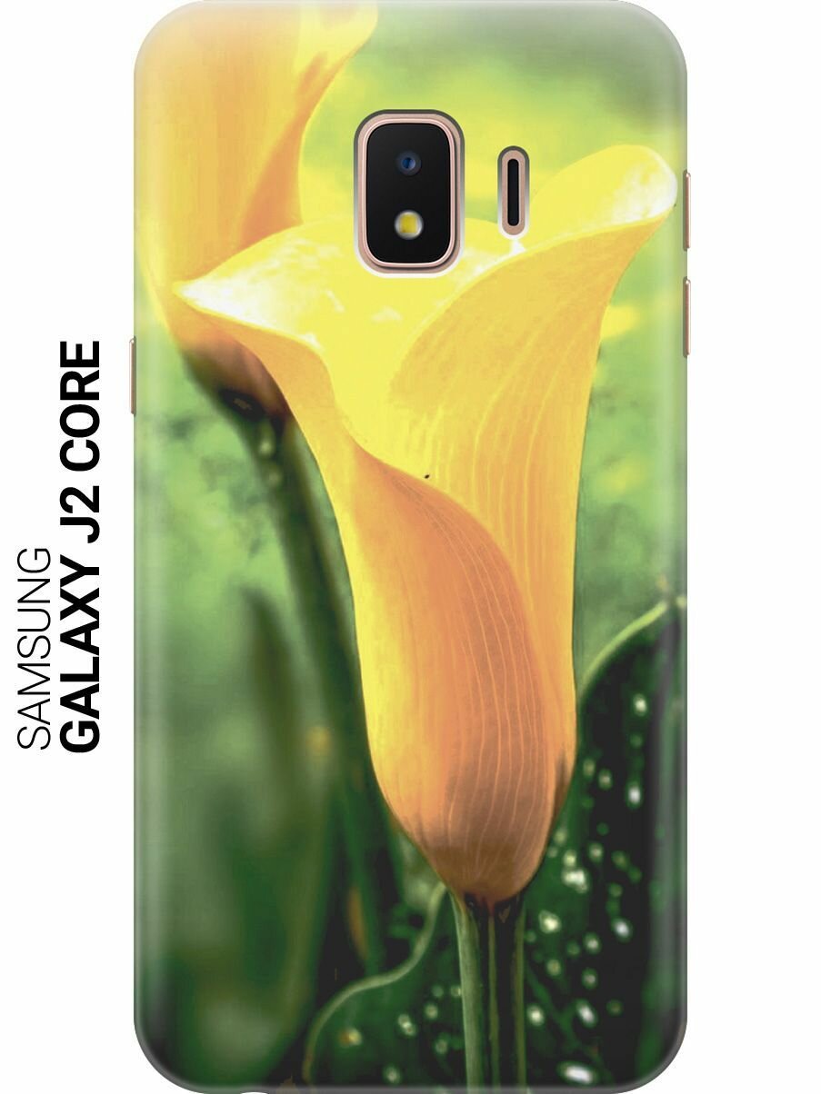 Силиконовый чехол на Samsung Galaxy J2 Core / Самсунг Джей 2 Кор с принтом "Желтые каллы"
