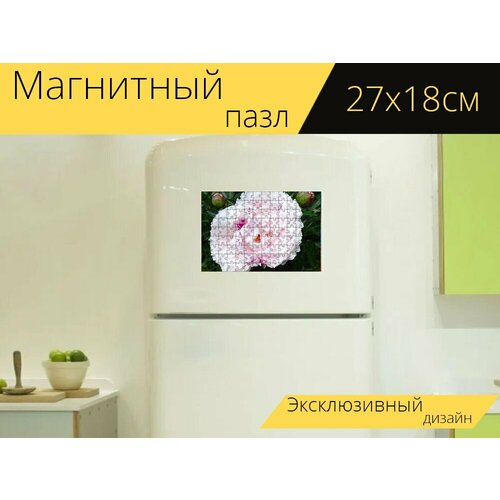 Магнитный пазл Пионы, цветы, розовый на холодильник 27 x 18 см. магнитный пазл пионы цветы белые на холодильник 27 x 18 см