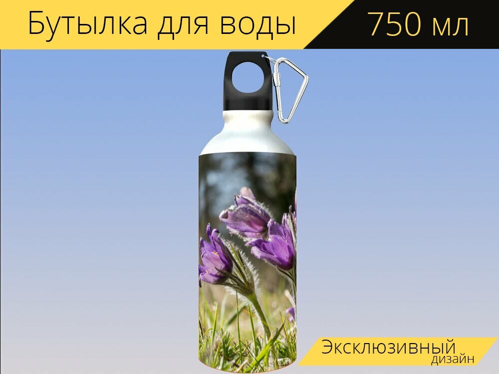 Бутылка фляга для воды "Пульсатилла паске цветок прострел" 750 мл. с карабином и принтом