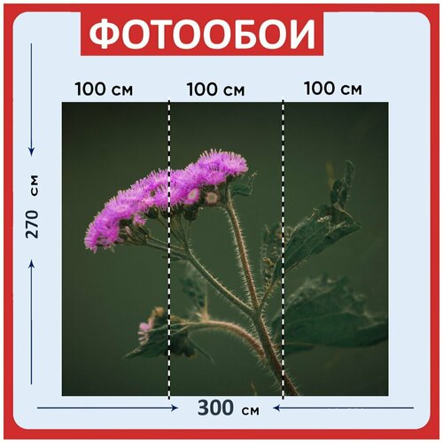 Фотообои Роза красный цветок 300x270 см флизелиновыена стену 2940₽