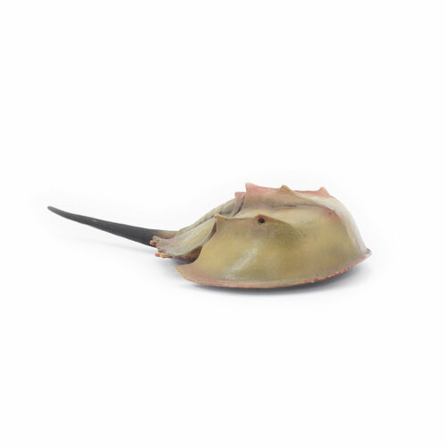 Фигурка Детское Время - Мечехвост