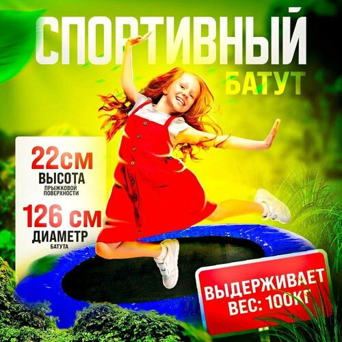 Батут спортивный TAKARA LN-2400-50 цвет синий диаметр 126 см 5047₽