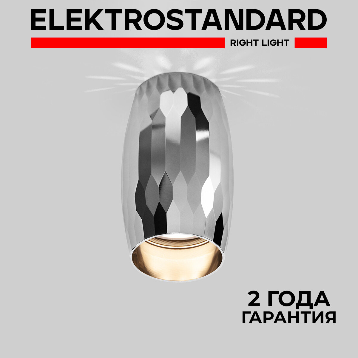 Спот / Накладной потолочный светильник Elektrostandard DLN104, GU10, цвет хром