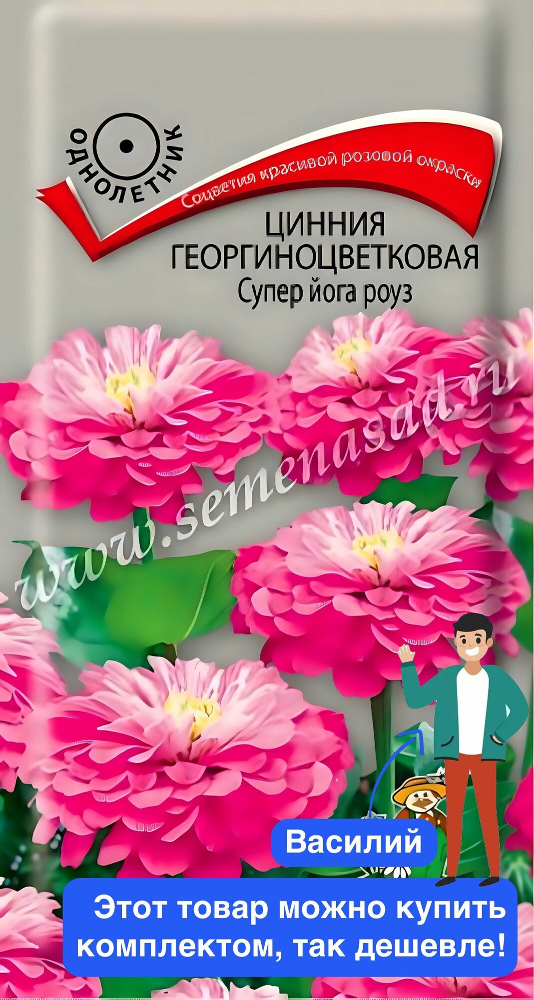 Цветы Цинния георгиноцветковая Супер йога роуз