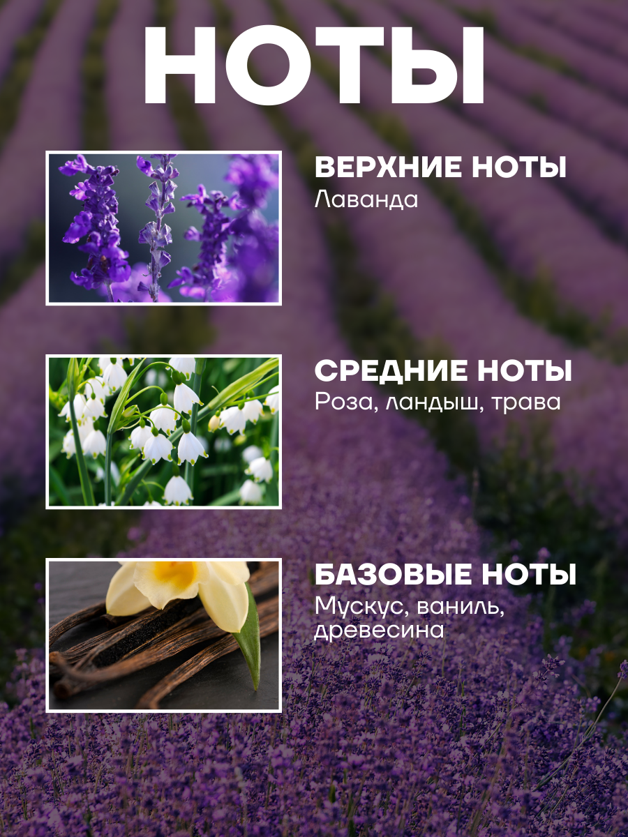 Парфюм-кондиционер DSBN для белья в гранулах 5 штук в комплекте — фото 1