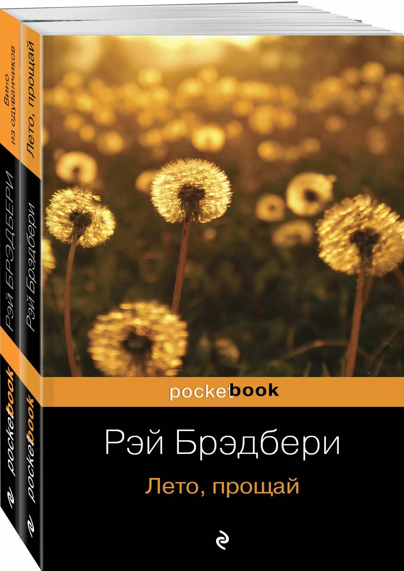 Комплект Вино из одуванчиков. Лето, прощай
