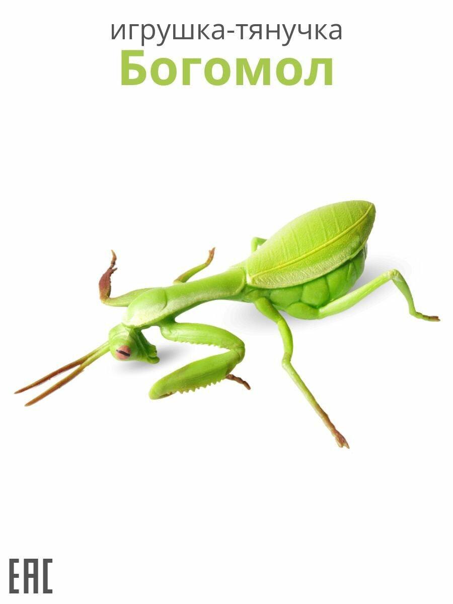Игрушка тянучка Богомол / Тянучка антистресс