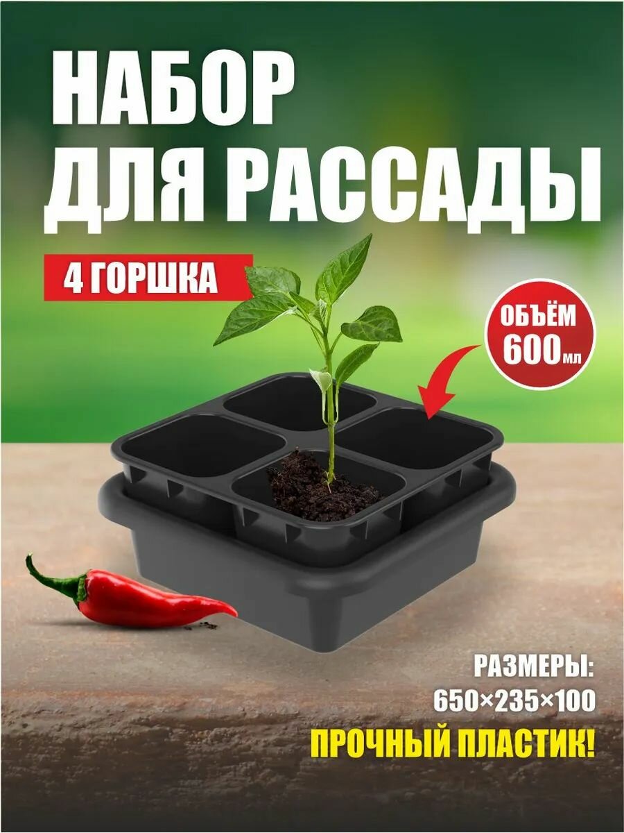 Набор для рассады 06л (1 кассета из 4-х стаканчиков с вкладышем + ящик) АП 116