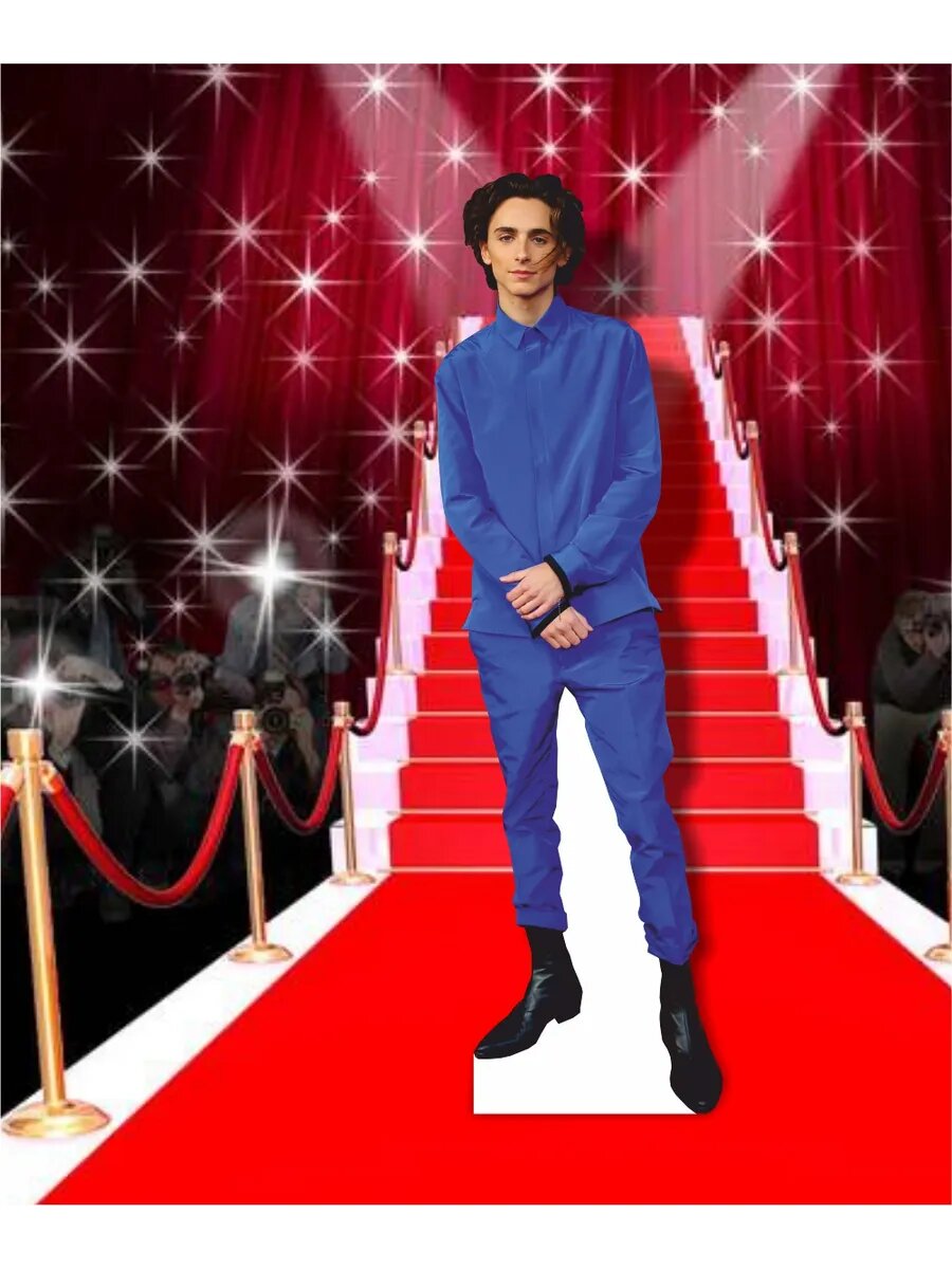 Ростовая фигура Тимоти Шаламе — фото 1