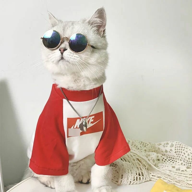 Футболка майка для кошек и собак мелких пород летняя одежда для животных