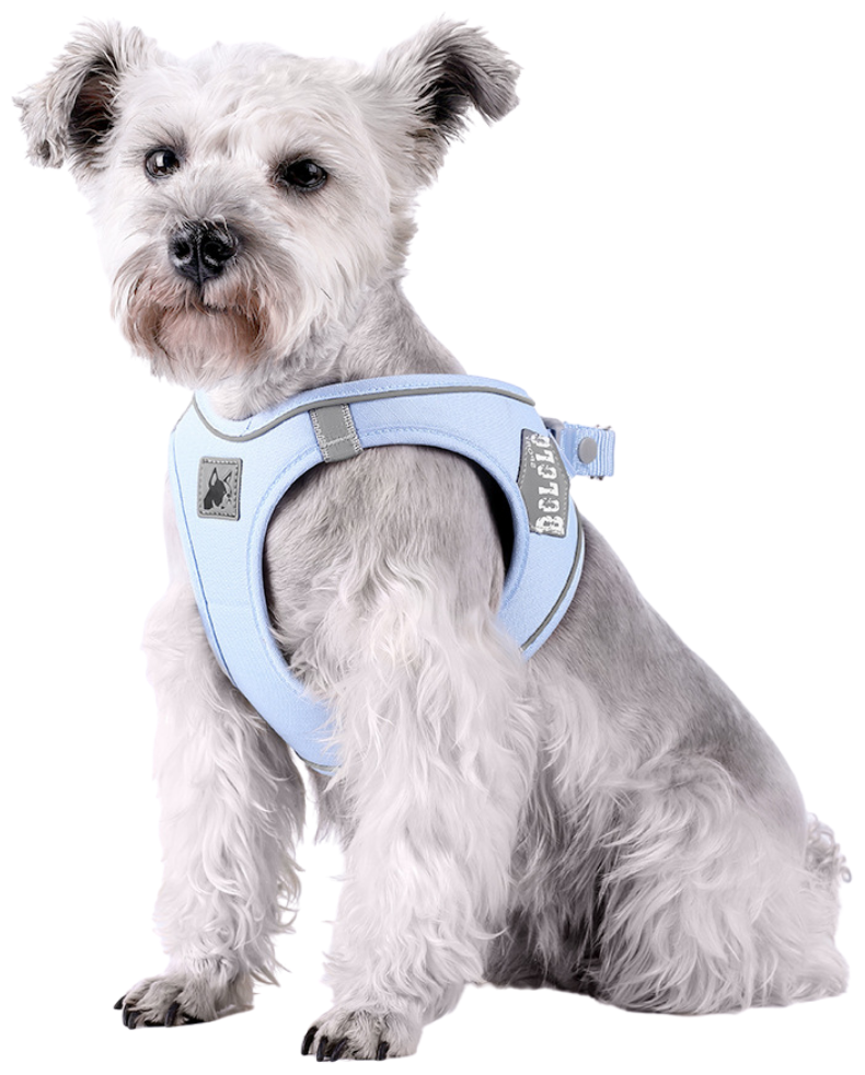 Шлейка для собак SPORTY анатомическая, светоотражающая, р-р S (ОГ 37-43 см), цвет голубой лёд - фотография № 5