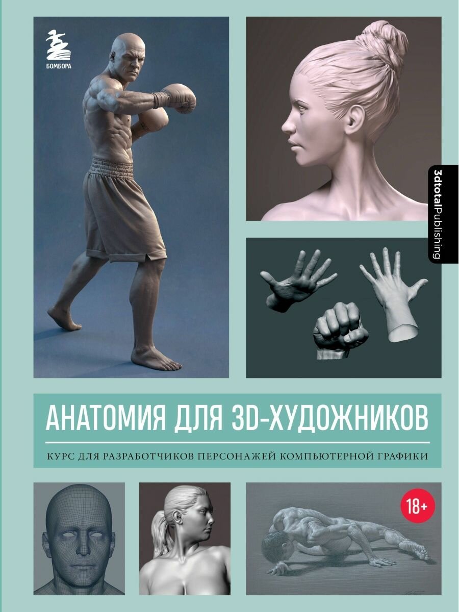 Анатомия для 3D-художников. Курс для разработчиков персонажей компьютерной графики.
