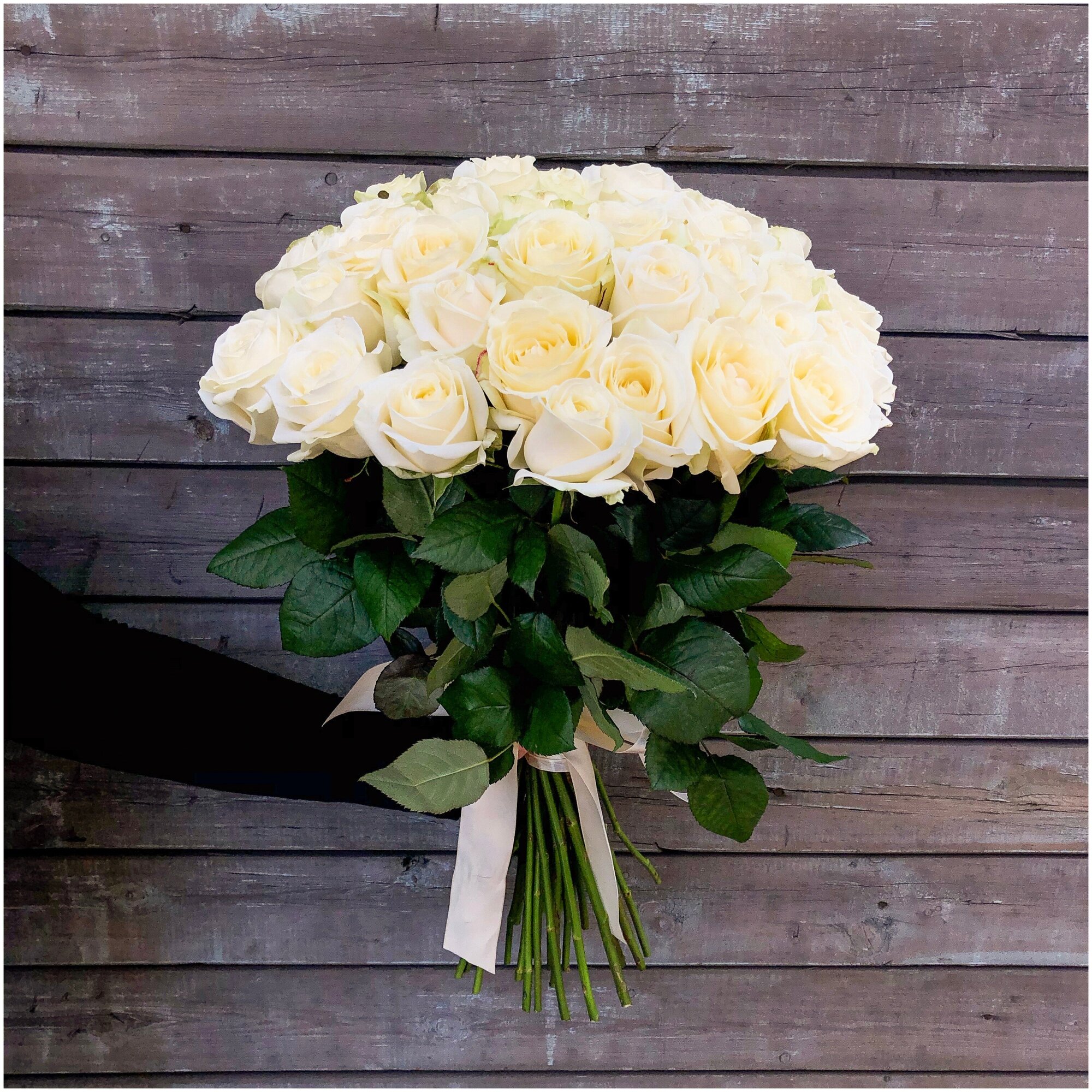 Розы Премиум 25 шт белые 49 см - Просто роза ру