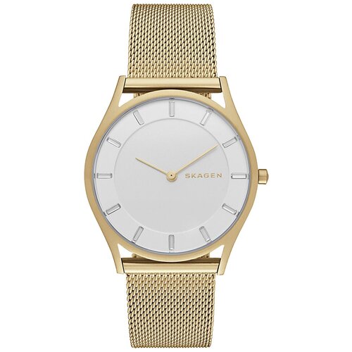 Наручные часы Skagen SKW2377