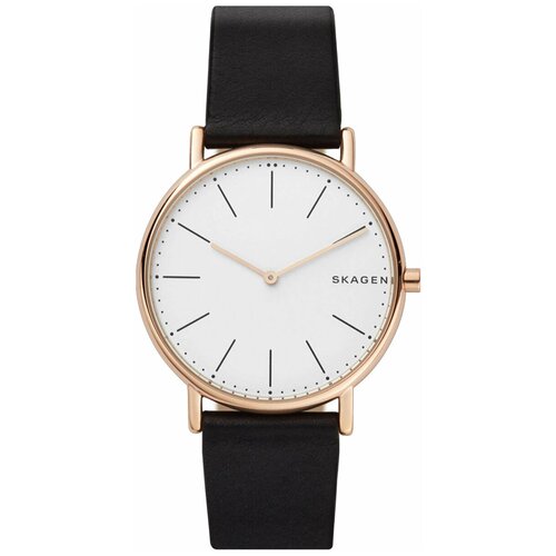 Наручные часы Skagen SKW6430