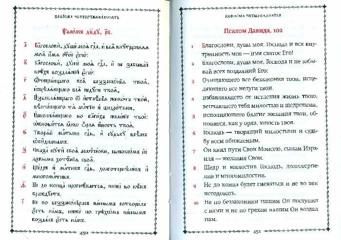 Псалтирь учебная на церковно-славянском языке с параллельным переводом П.Юнгерова на русский язык - фото №10