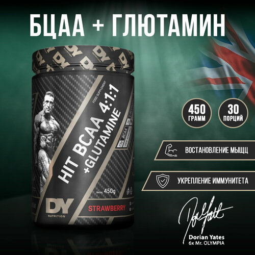 DY Nutrition BCAA GLUTAMINE 450g (Strawberry), ВСАА 4:1:1 + L-глютамин 450 грамм, Аминокислота, 30 порций (Клубника)