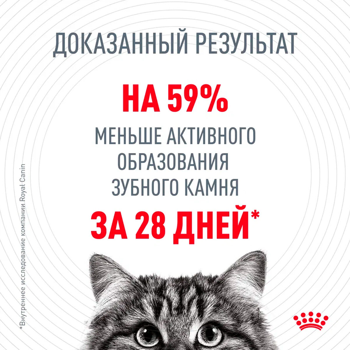 ROYAL CANIN DENTAL CARE для взрослых кошек от заболеваний зубов и десен (1,5 + 1,5 кг) - фотография № 4