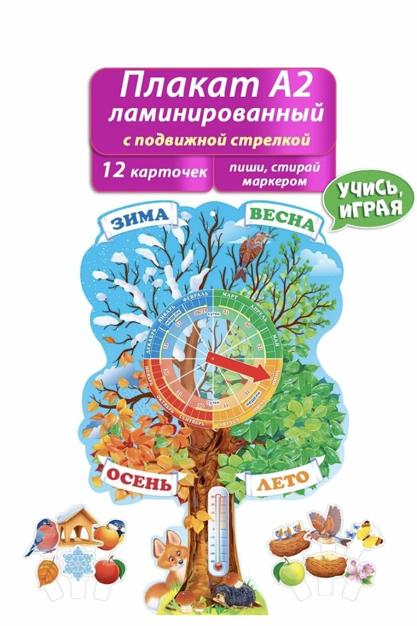 Обучающий плакат Пиши-Стирай "Времена года", формат А2, 45х69 см, ламинированный картон