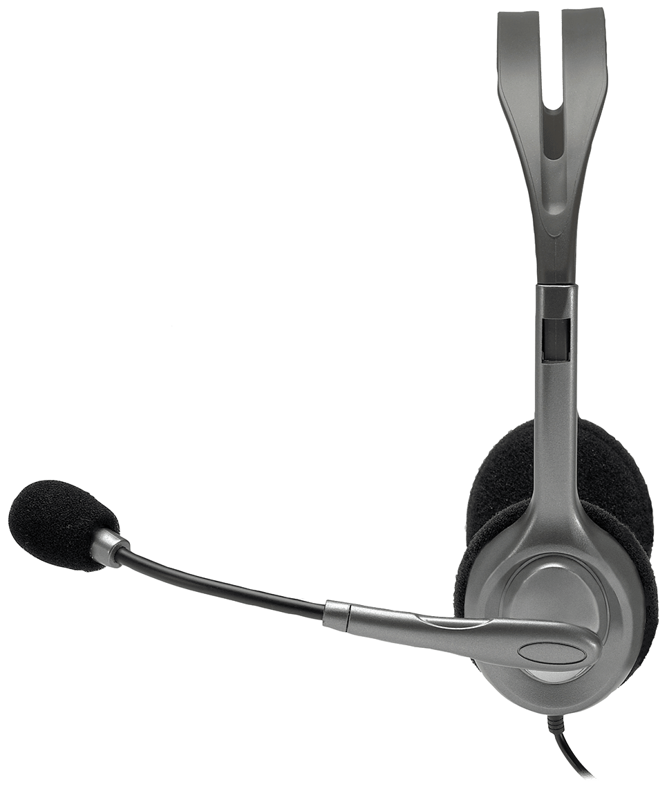 Компьютерная гарнитура Logitech Headset H110 black (981-000472)