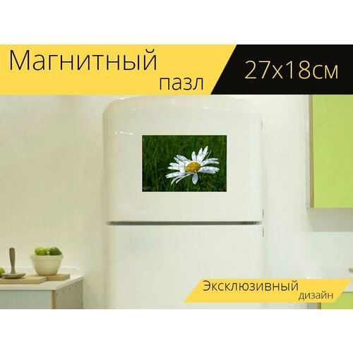 Магнитный пазл Цветок, ромашка, обои на холодильник 27 x 18 см. магнитный пазл ромашка цветок ромашка аптечная на холодильник 27 x 18 см