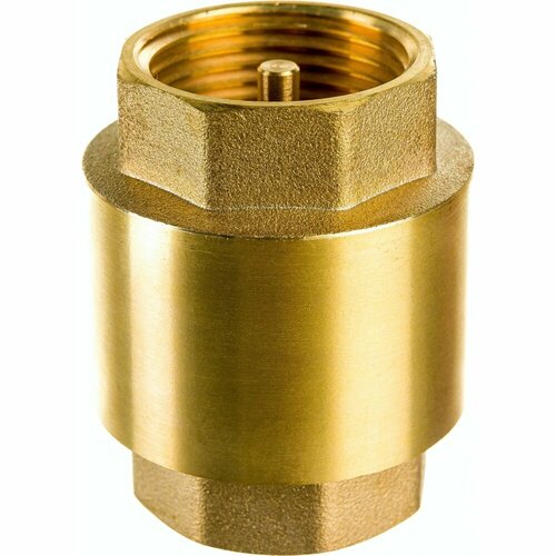 Клапан обратный Pedrollo 50112 2982₽