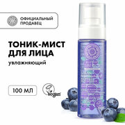 Тоник-мист Natura Siberica Blueberry Siberica для лица увлажняющий, 100 мл