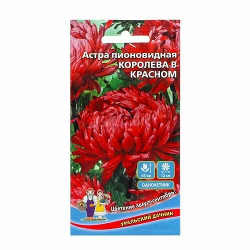 Семена Цветов Астра пионовидная Королева в красном , 0 ,2 г ( 1 упаковка ) астра королева сада смесь семена