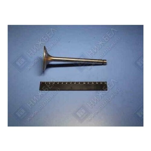 Клапан впускной дв.236, 238, 2361007010В2 Ярославский моторный завод 236-1007010-В2