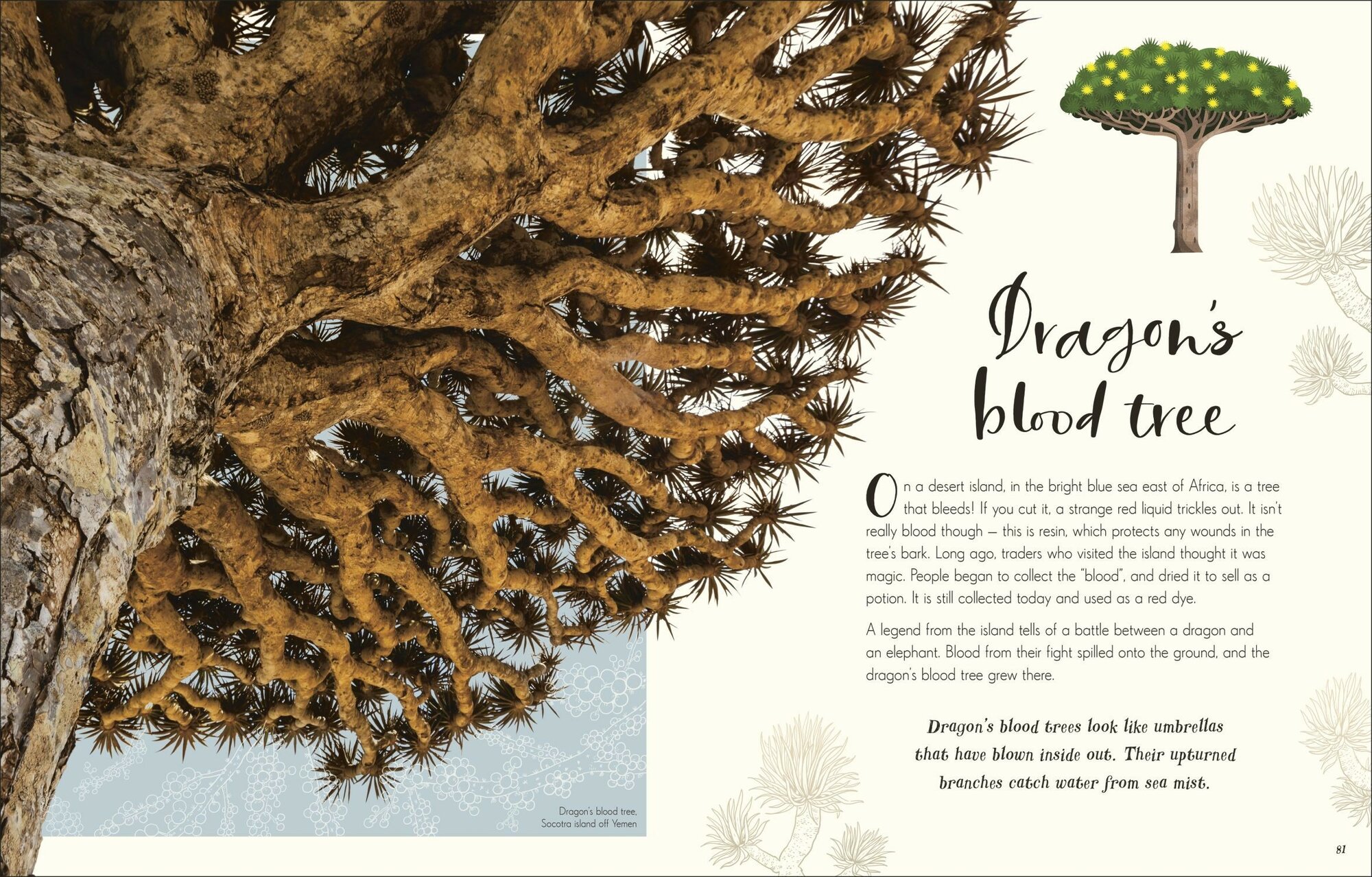The Wonders of Nature (Hoare Ben) - фото №8