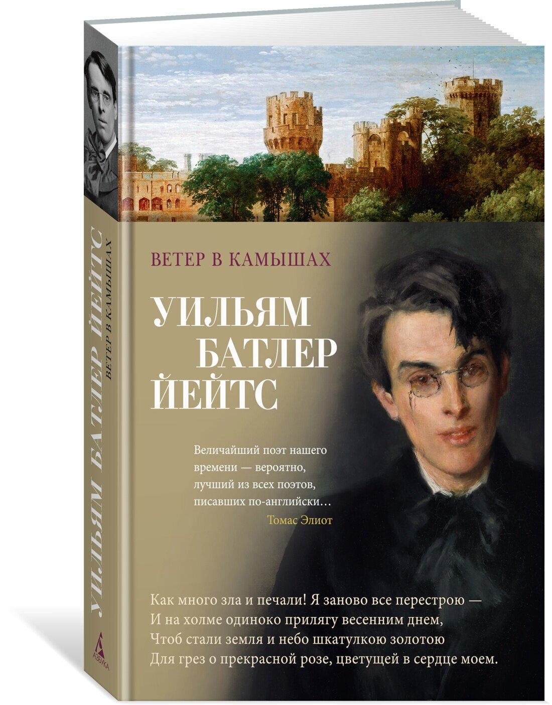 Книга Ветер в камышах. Йейтс У. Б.