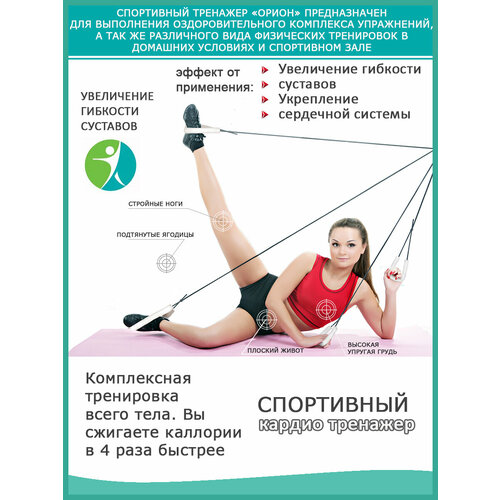 Тренажер Гармония для похудения для суставов ног и рук спины 1250₽