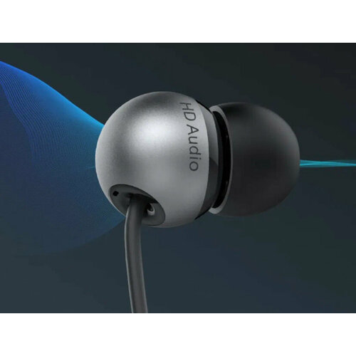 Наушники Mi Noise Cancelling Earphones (Type-C)