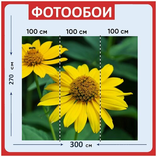 Фотообои Цветок подсолнух желтый 300x270 см флизелиновыена стену 2950₽