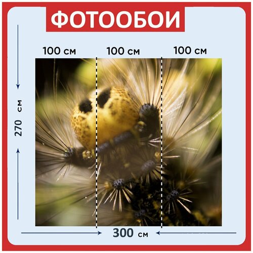 Фотообои "Гусеница цыганка, макрофотографии, насекомое" 300x270 см. флизелиновыена стену