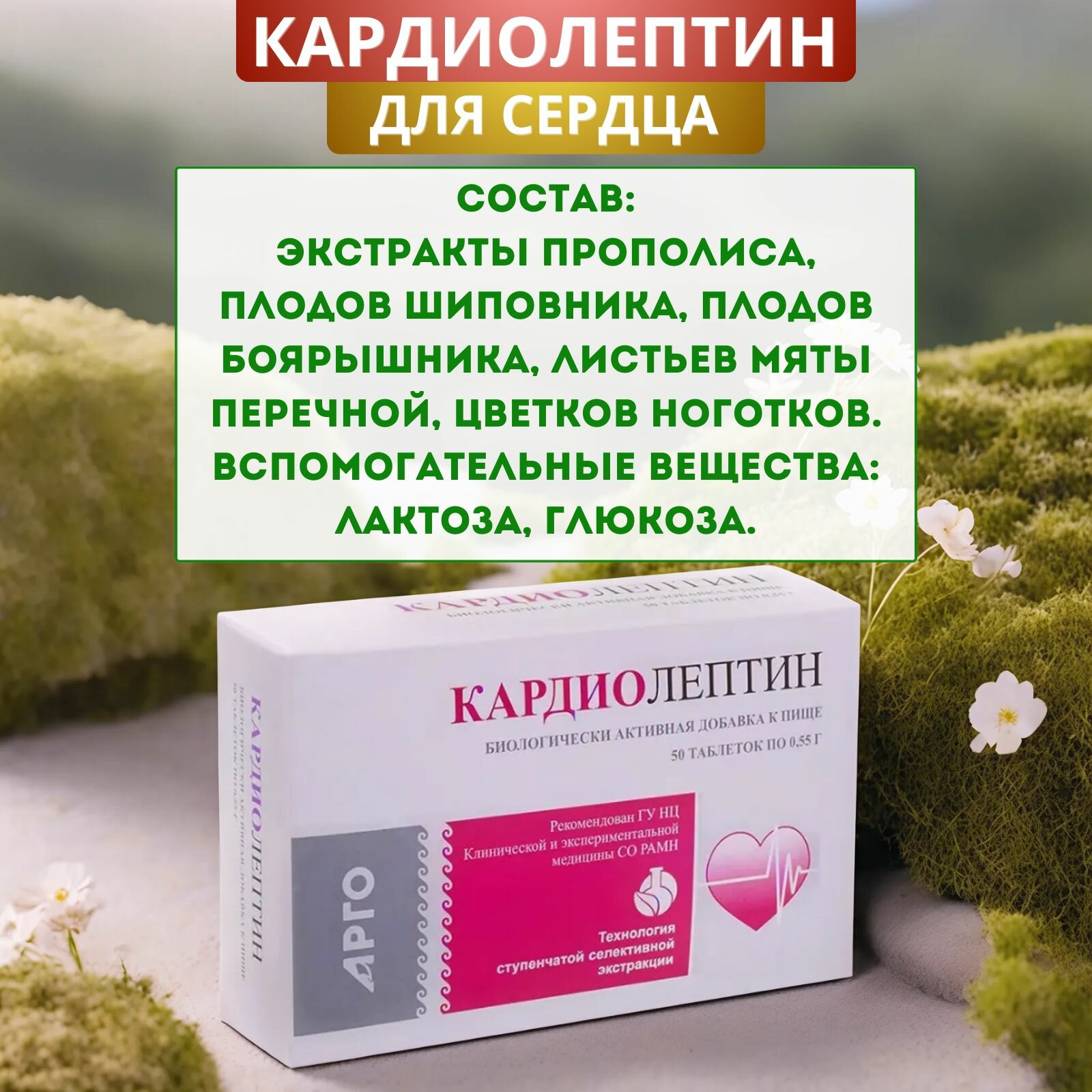 Изображение Кардиолептин для сердечно-сосудистой системы, таблетки, 50 шт.