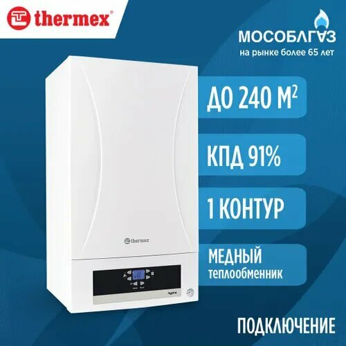 Настенный одноконтурный конвективный газовый котел Thermex Hydra HS24 56482₽