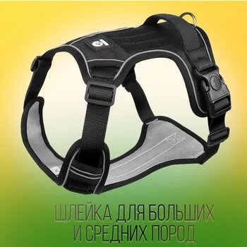 Шлейка