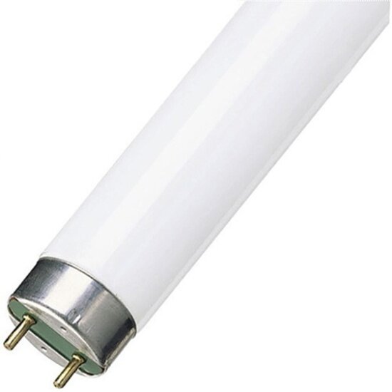 Лампа люминесцентная Ledvance-osram OSRAM L36/765 G13 d26x1200mm 2500lm 6500K
