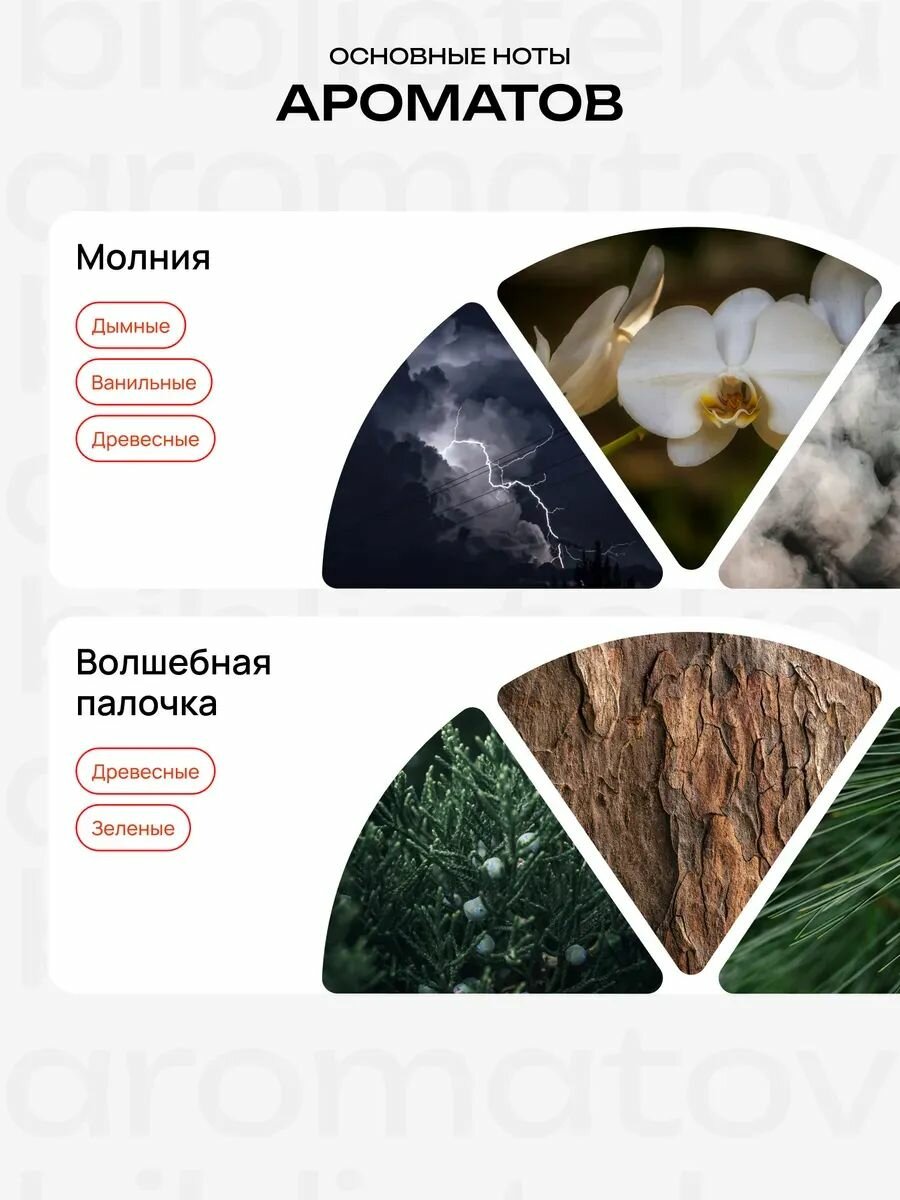 Библиотека ароматов "Особо загадочная личность" (Гарри Поттер) Парфюмерный набор 5 ароматов — фото 1