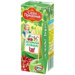 Сок с мякотью Сады Придонья Яблоко-вишня (Tetra Pak), c 4 месяцев - изображение