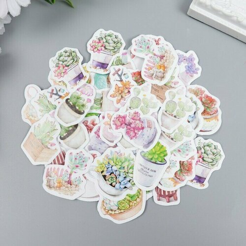 Наклейки для творчества Суккуленты в горшках набор 45 шт 44х44х11 см 499₽