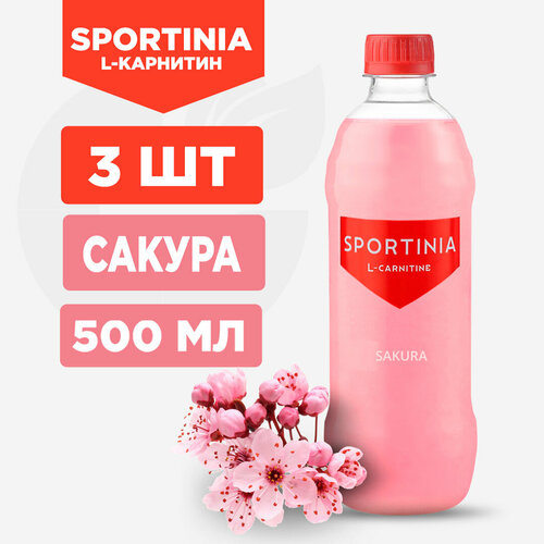 Напиток SPORTINIA L-Carnitine - 3 штуки по 500мл, Сакура sportinia l карнитин ананас