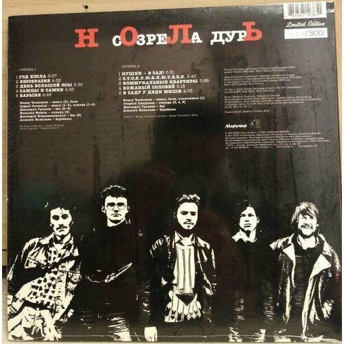 Виниловая пластинка Ноль - Созрела Дурь (LTD 300 Copies). 1 LP