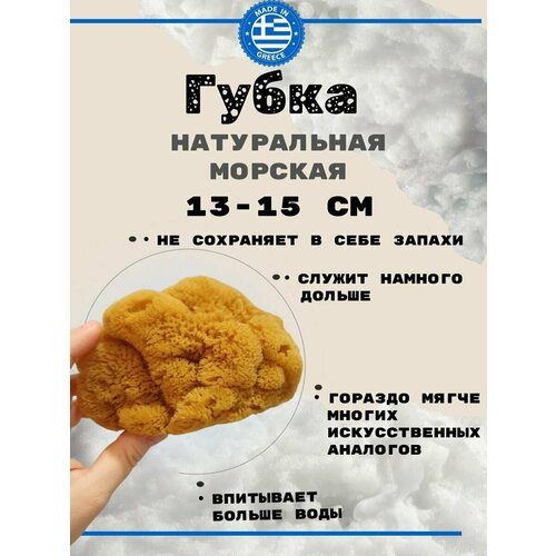 Губка морская натуральная Honeycomb 13-15 см